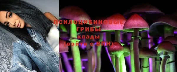 героин Алексин