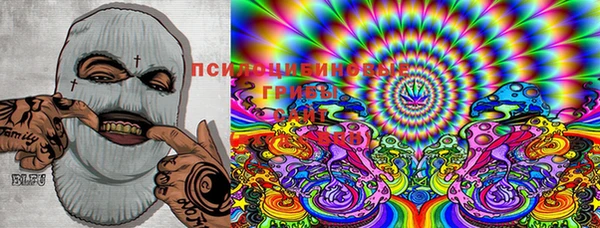 mdpv Козловка