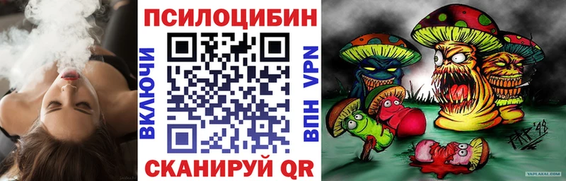 Купить  Севастополь  Псилоцибиновые грибы Cubensis 