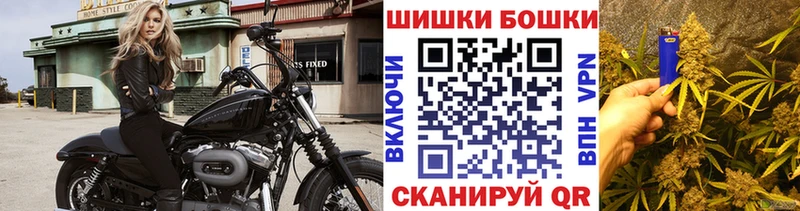 Каннабис Bruce Banner  Купить закладки  Севастополь 